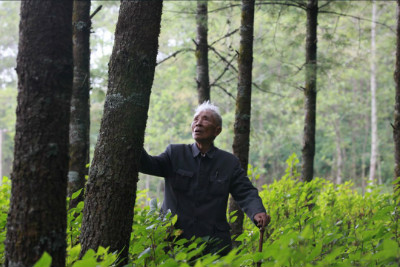 杨善洲